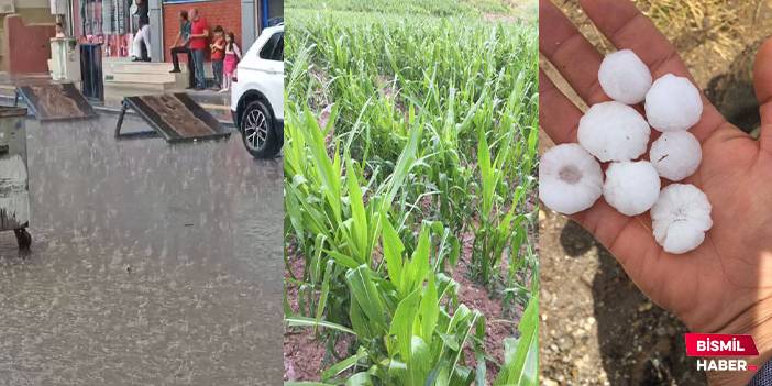 Bismil’de sağanak yağış ve yer yer dolu yağışı etkili oldu