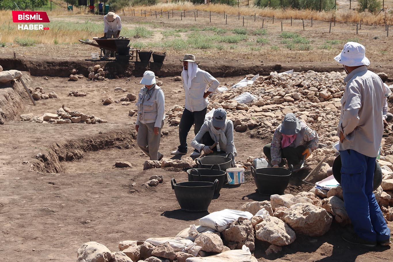 Diyarbakır Ergani Çayönü Höyüğü keşif 4