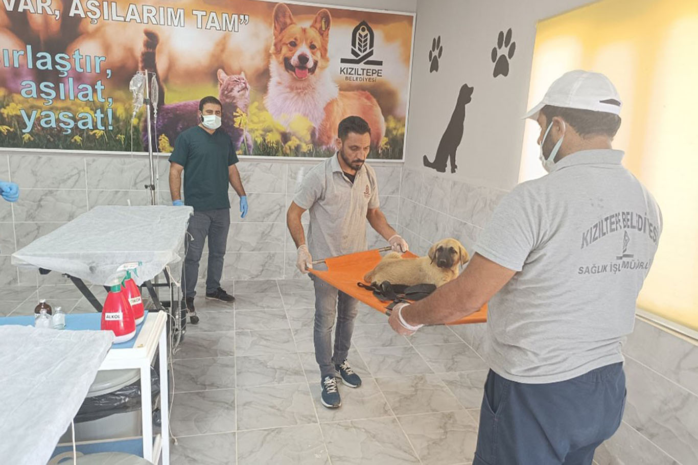 yavru köpeğe işkence Mardin 1