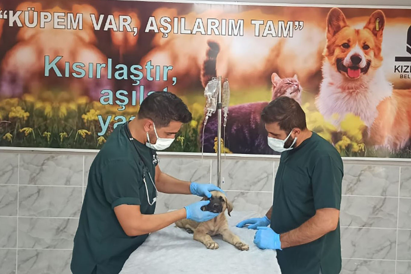 yavru köpeğe işkence Mardin