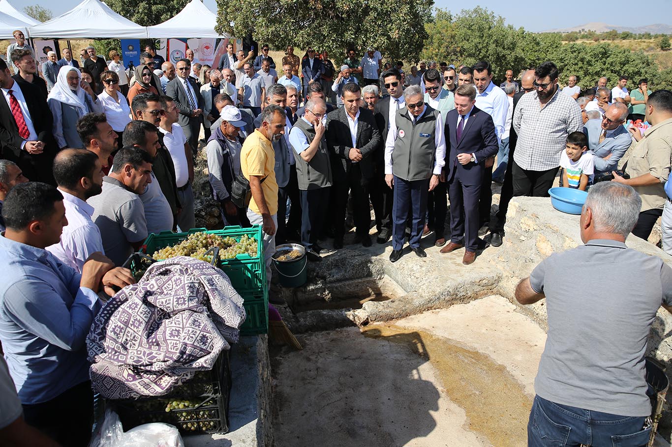 Diyarbakır'da bağ bozumu mevsimi başladı 1