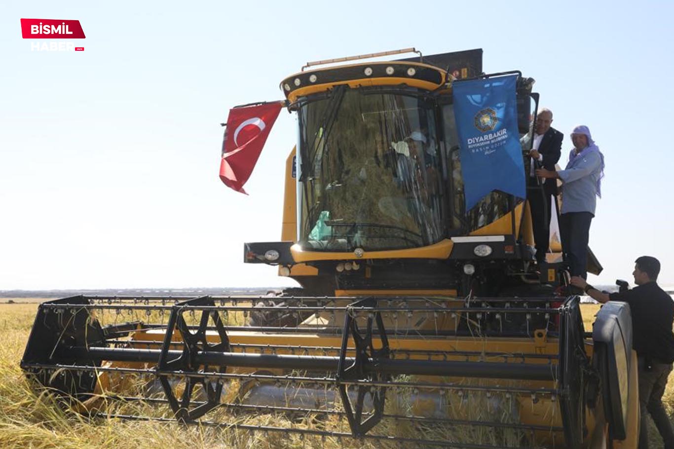 Tescilli Karacadağ pirincinin hasadına başlandı 2