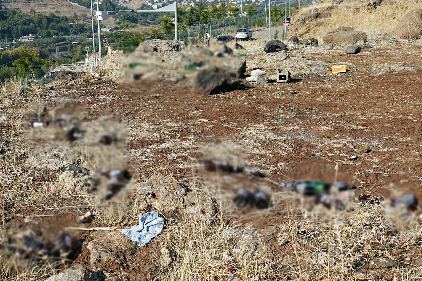 Bu görüntüler Diyarbakır’dan 1