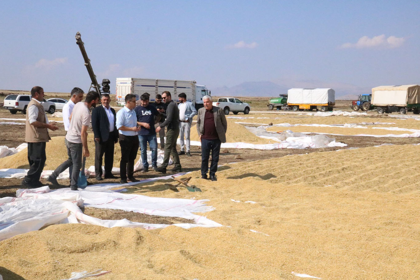 Diyarbakır Çermik çeltik hasadı 1