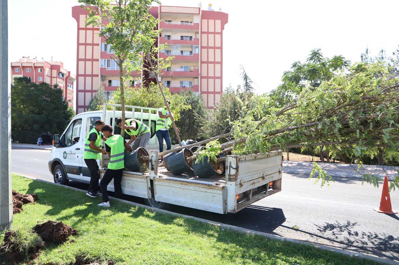 Diyarbakır Yenişehir 250 ağaç dikme 1