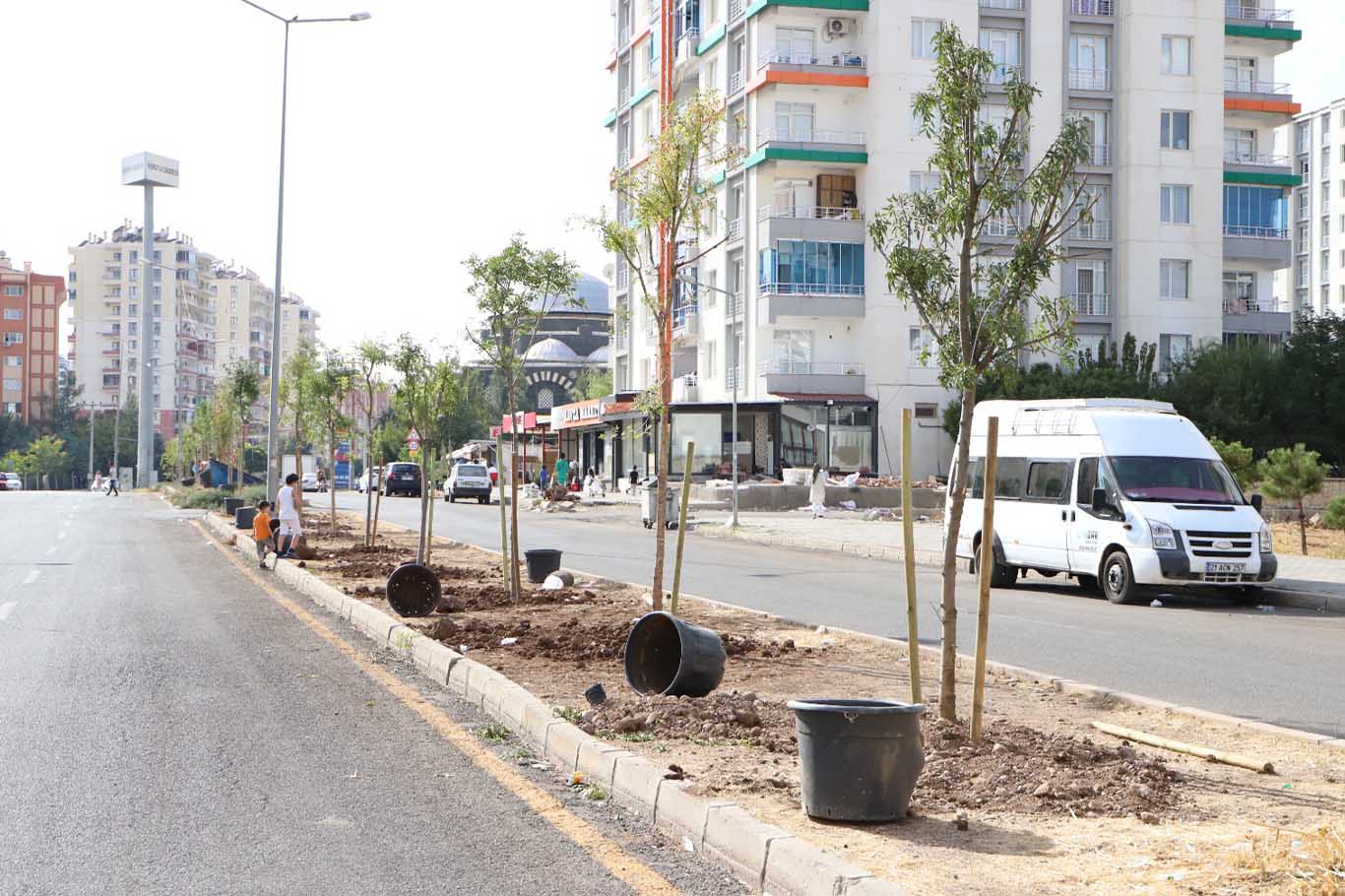 Diyarbakır Yenişehir 250 ağaç dikme