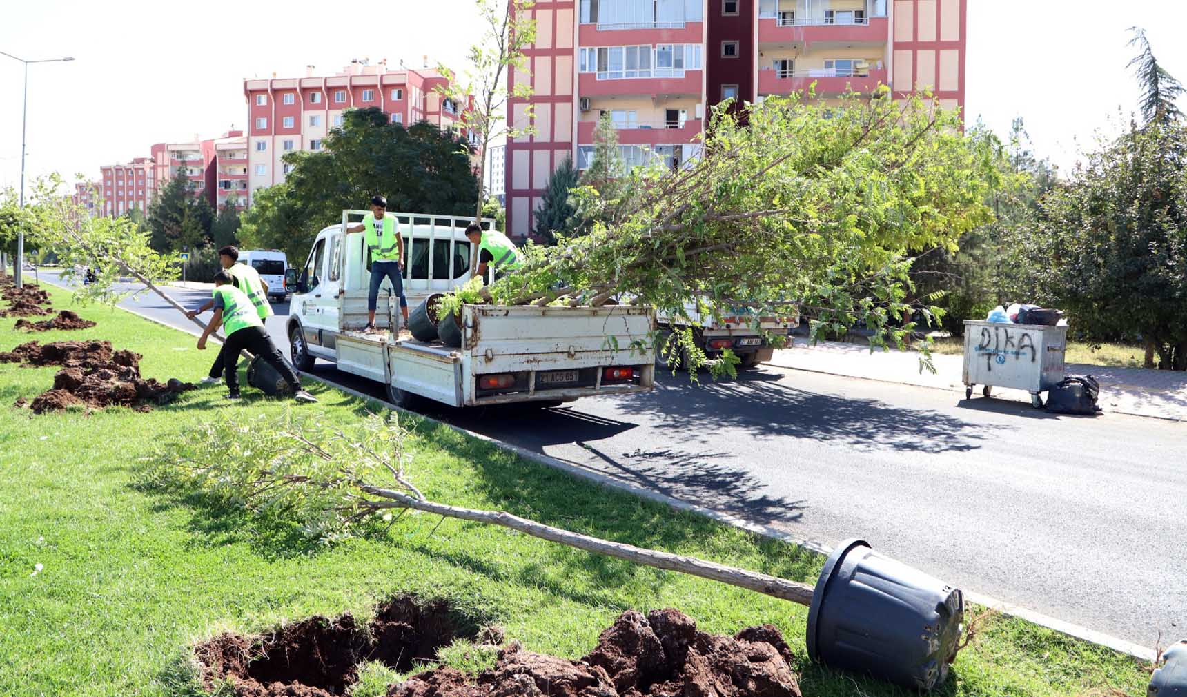 Diyarbakır Yenişehir Pasur Caddesi ağaçlandırma 2