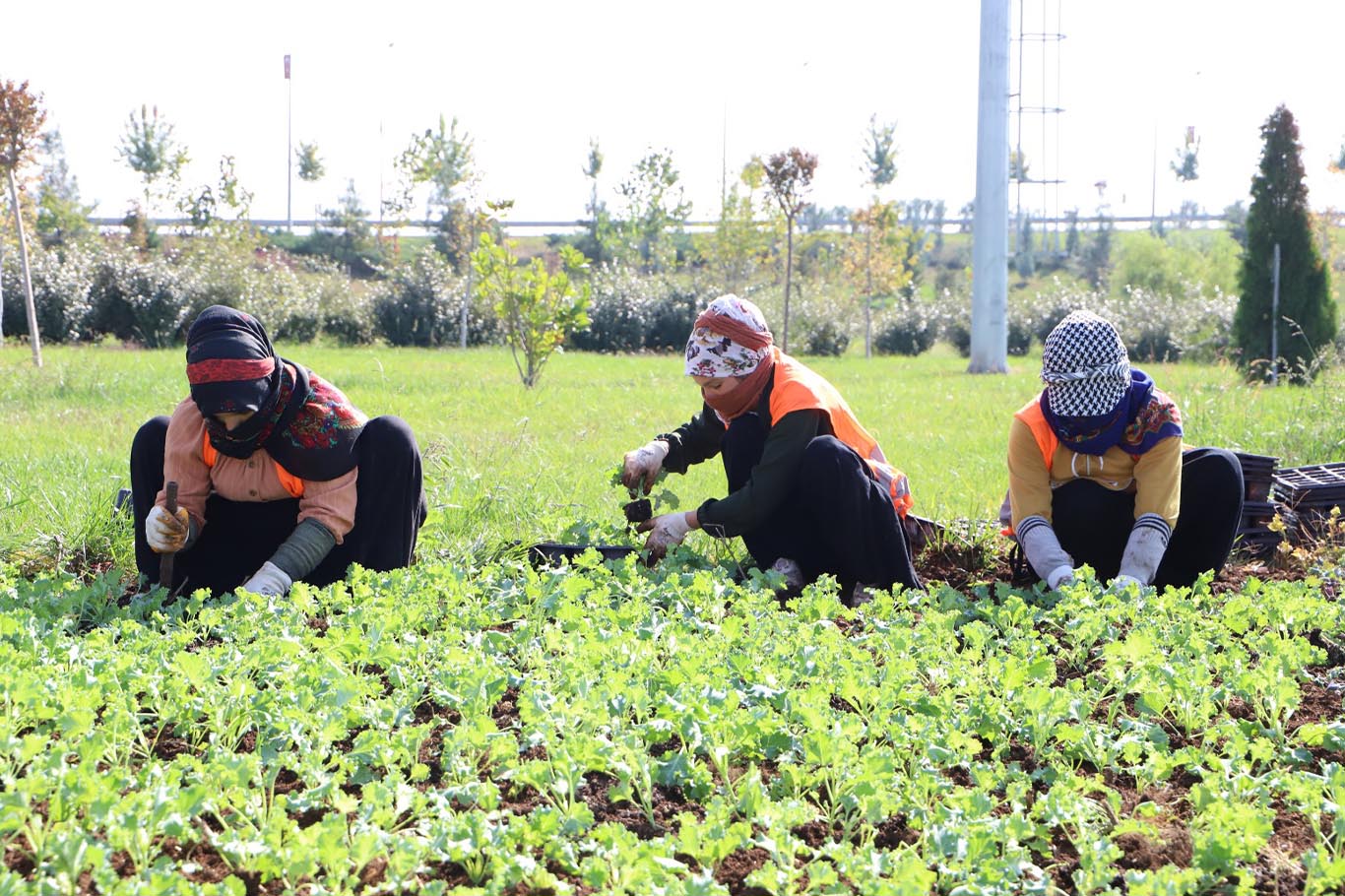 Diyarbakır'a 1 milyon 200 bin çiçek 1