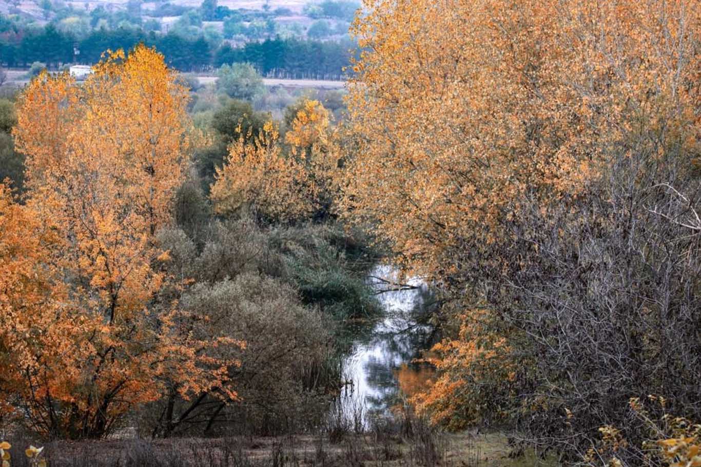 Diyarbakır sonbahar 16