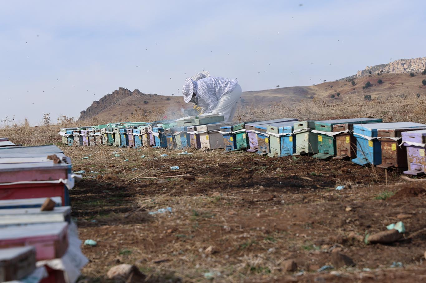 Diyarbakır'da arılar kışa hazırlanıyor 8