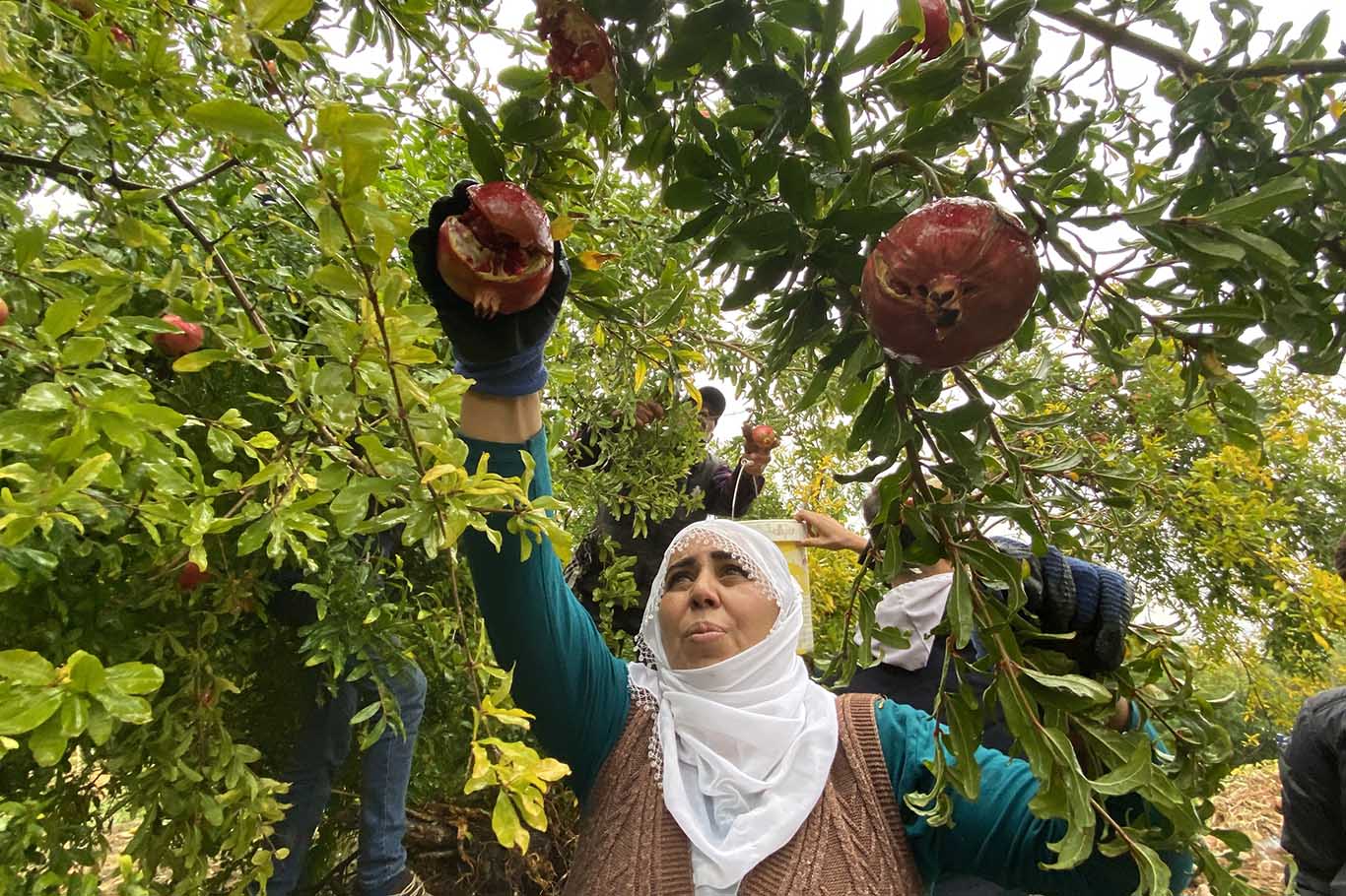 Diyarbakır’ın asırlık lezzeti tescilleniyor 5