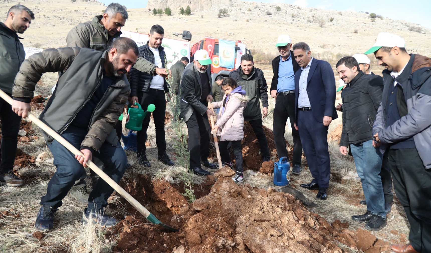 Diyarbakır’ın o noktasına 10 bin fidan dikildi 1