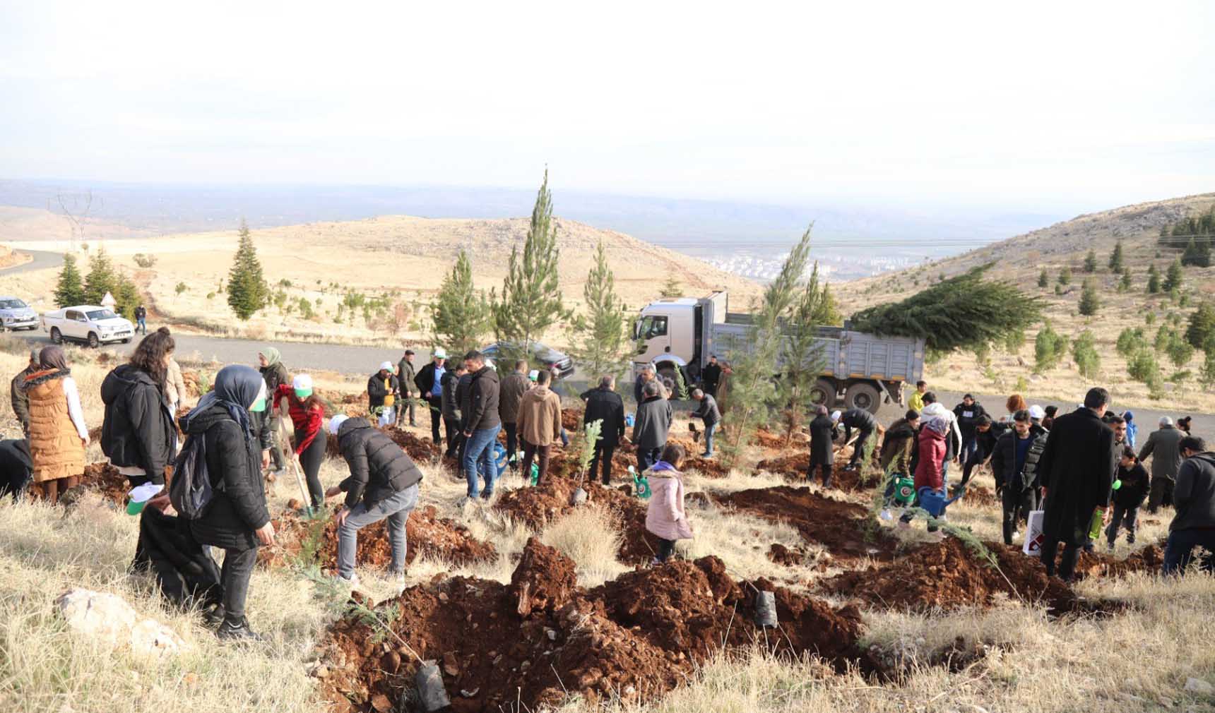 Diyarbakır’ın o noktasına 10 bin fidan dikildi 2