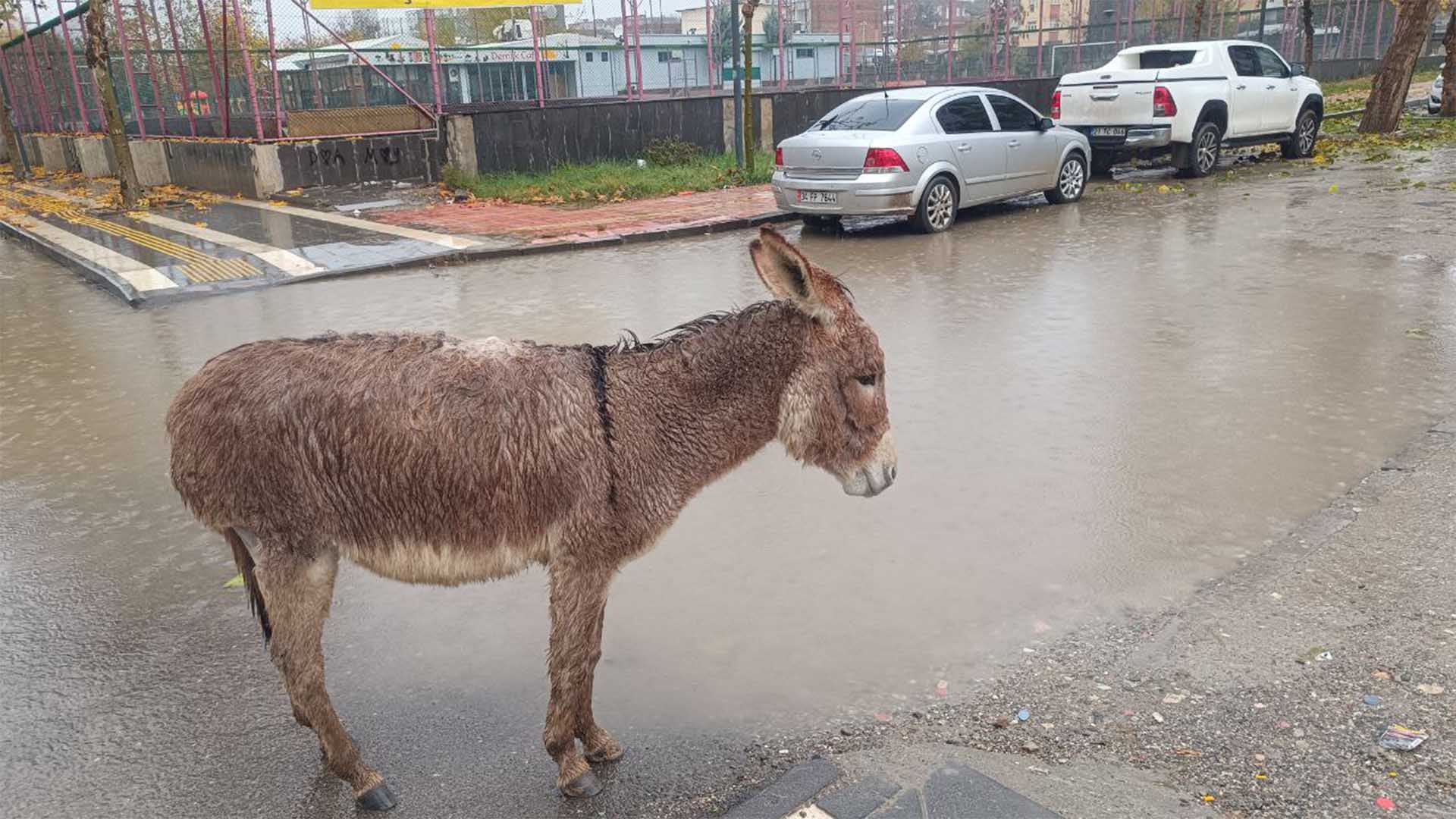 Bismil’de Sağanak Yağışlar Etkili Oluyor Cadde Ve Sokaklarda Durum