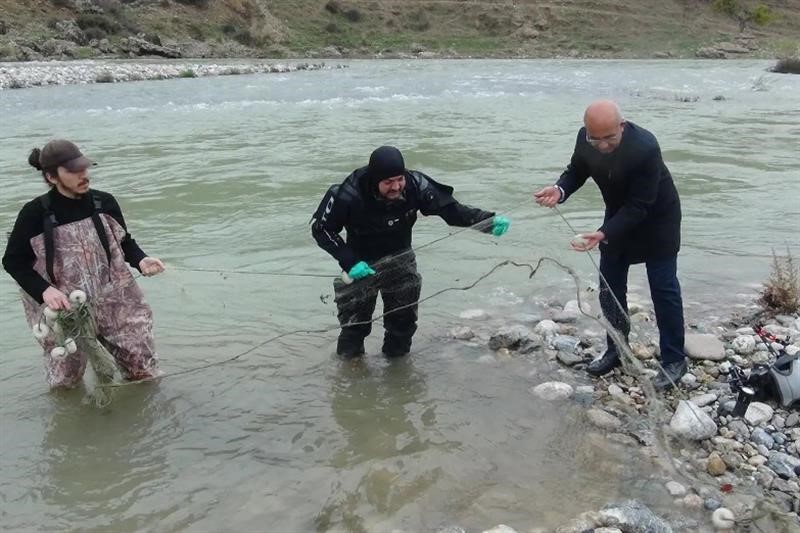 Çöpçü Balığının Korunması Için Hayalet Ağ Temizliği