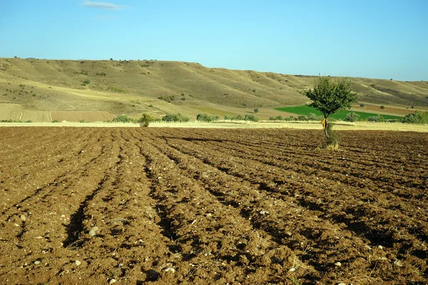 Depositphotos 60450241 Stock Photo Plowed Land