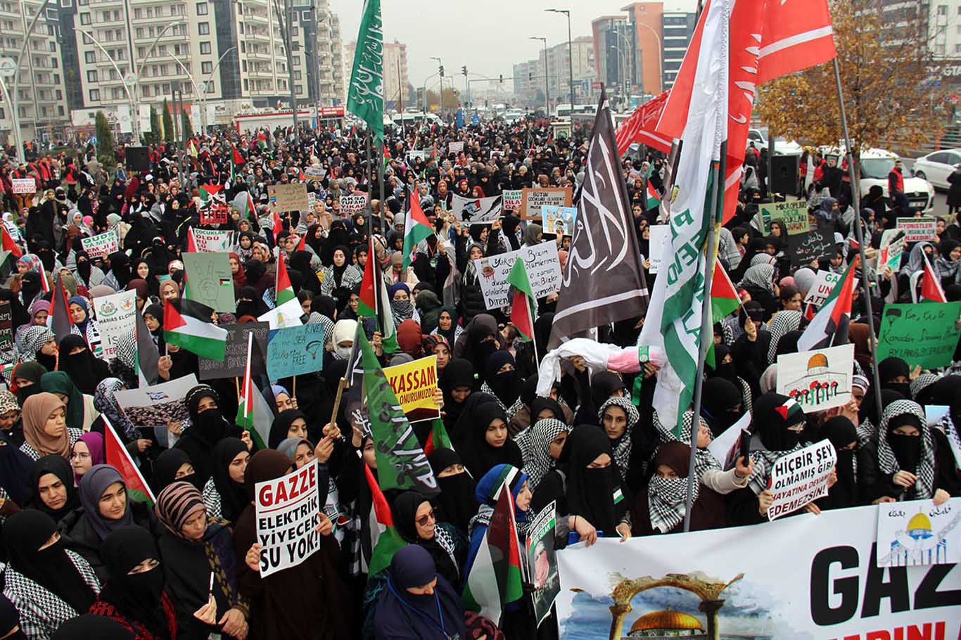 Diyarbakır’da Kadınlardan Gazze Yürüyüşü 22