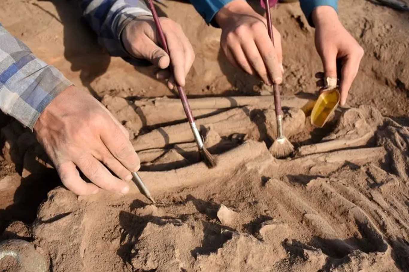 Körtik Tepe'den 23 Yılda 30 Bini Aşkın Eser Çıkarıldı 2