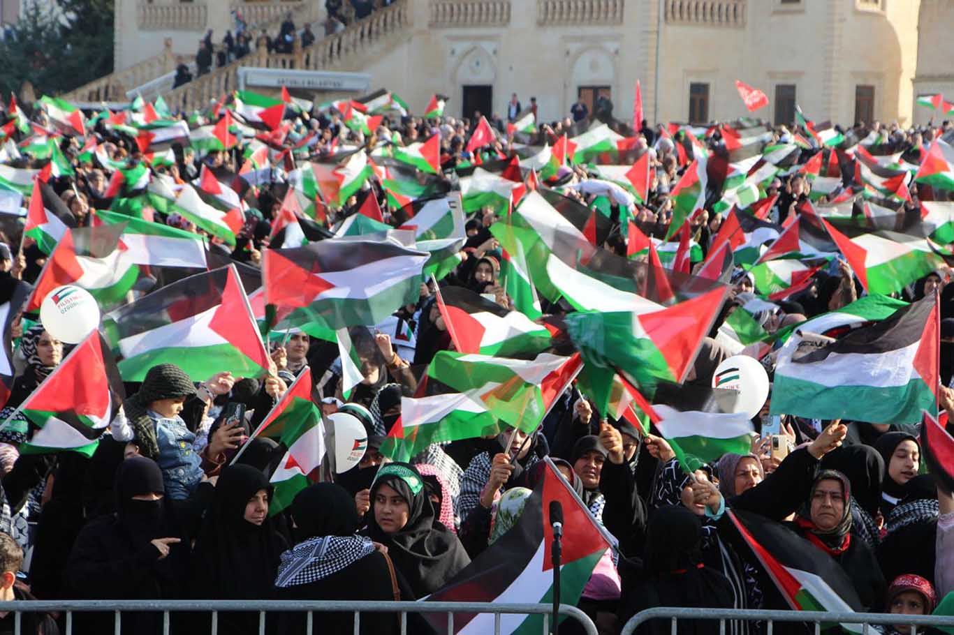 Mardin’de Gazze’ye Destek Mitingi 12