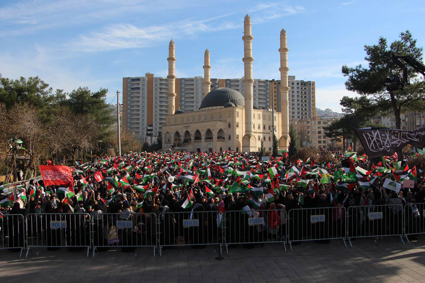 Mardin’de Gazze’ye Destek Mitingi 4