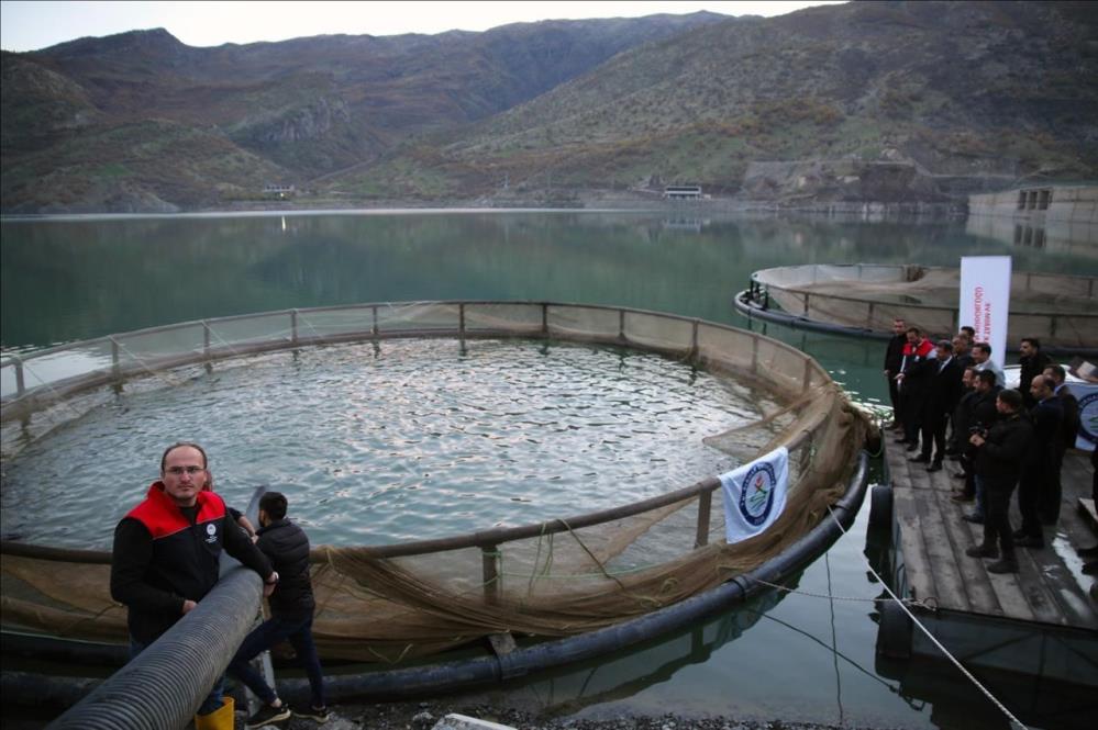 Şırnak'ta Baraj Gölünde Hedef 30 Ton Balık.