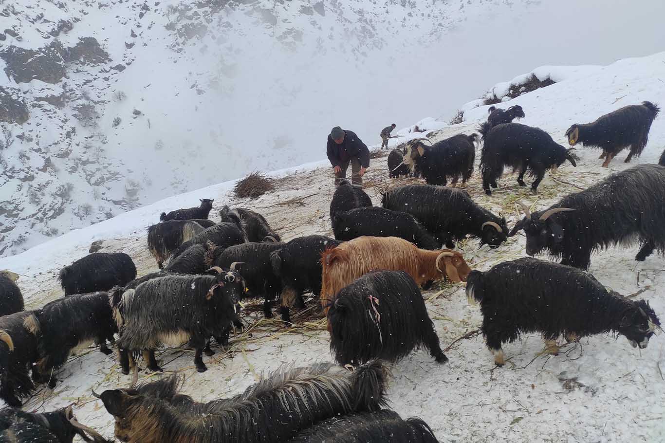 Diyarbakır’a Komşu Ilde 35 Köy Yolu Ulaşıma Kapandı 3