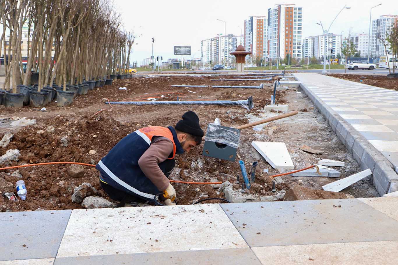 Diyarbakır’a Nefes Aldıracak Proje 1800 Ağaç Ve 6 Bin Çalı Dikilecek 6