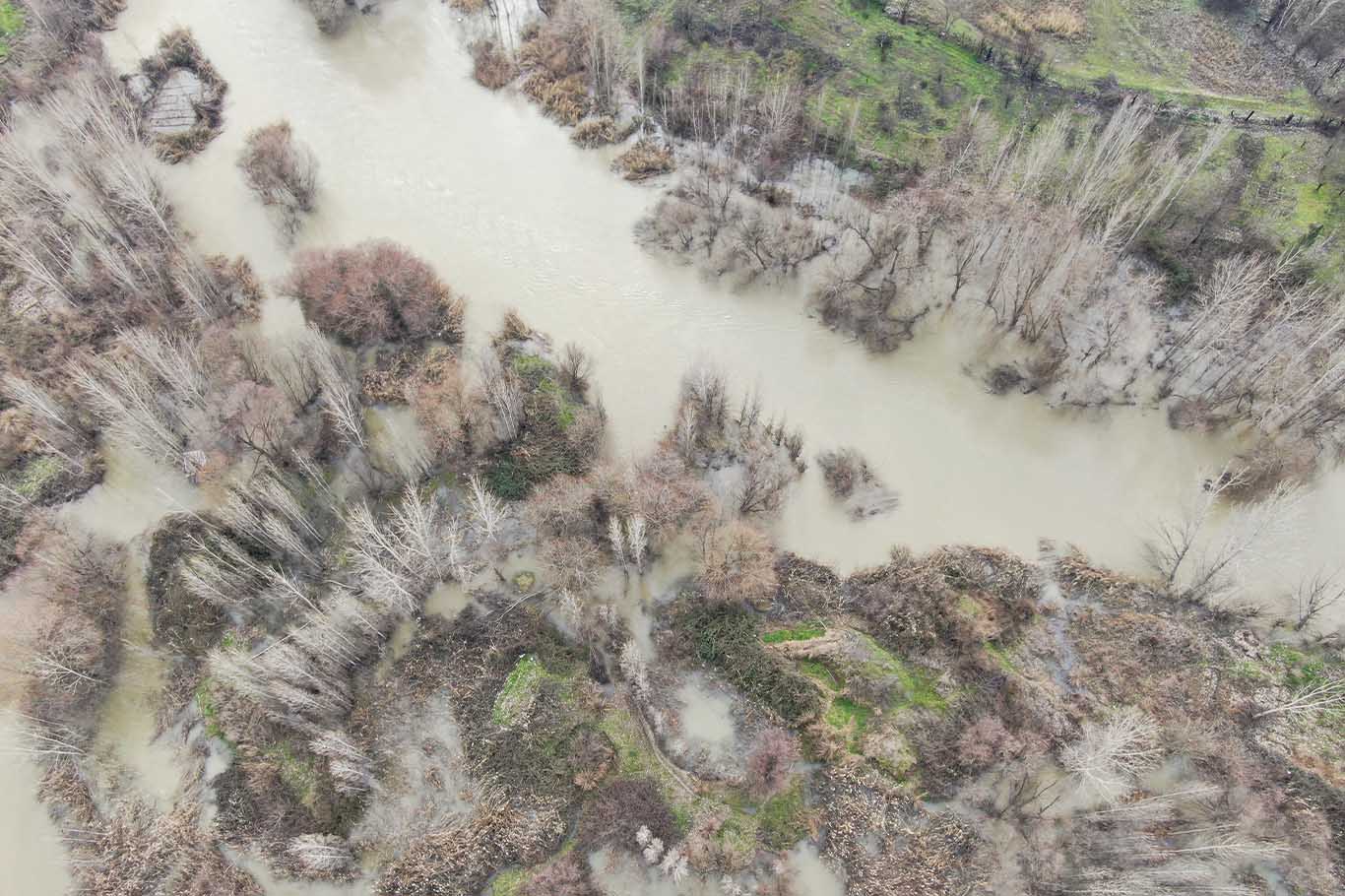 Diyarbakır’da Dicle Nehri'ni Kirleten Atıklar Canlıları Tehdit Ediyor 1