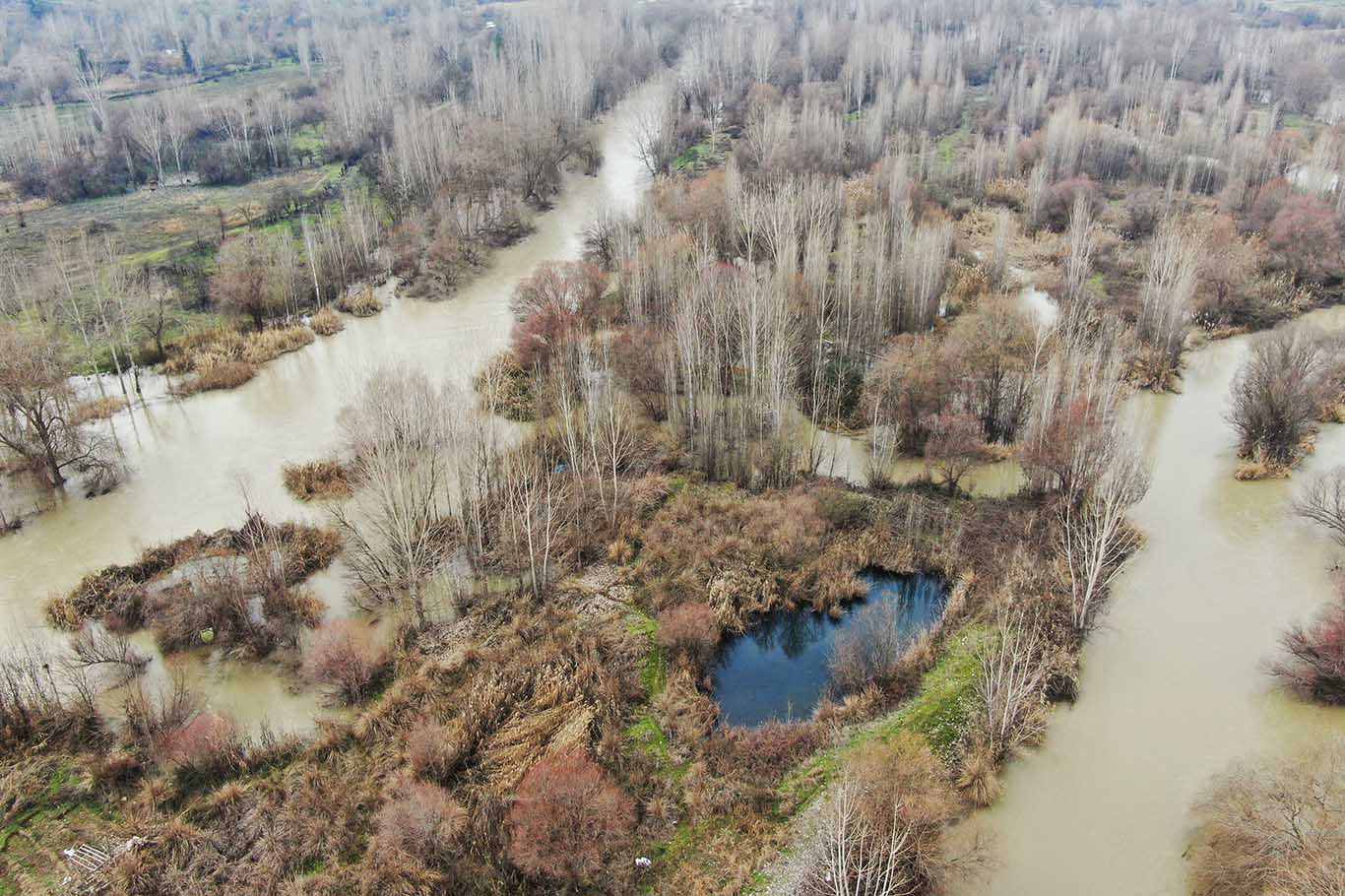 Diyarbakır’da Dicle Nehri'ni Kirleten Atıklar Canlıları Tehdit Ediyor 2