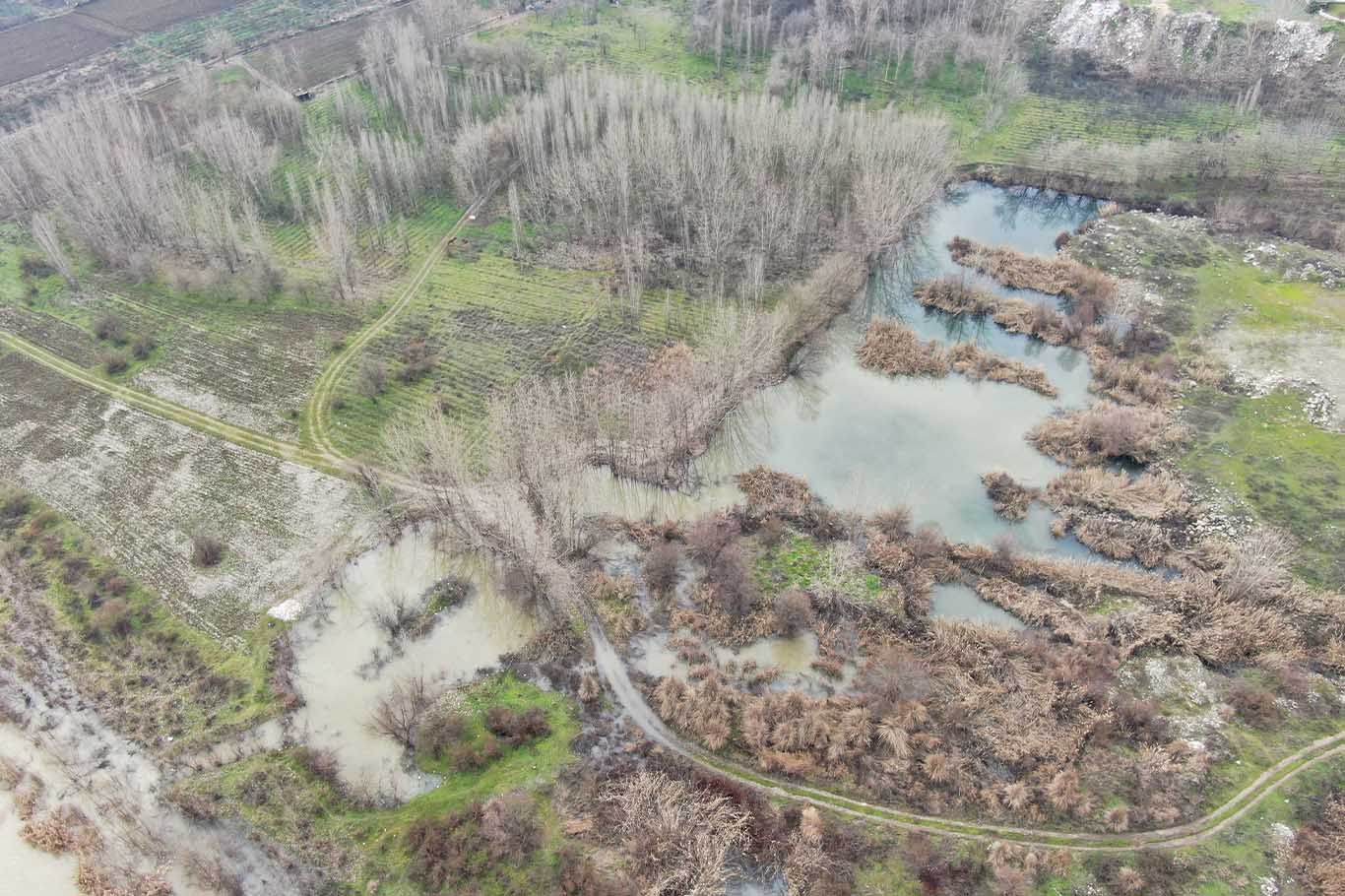 Diyarbakır’da Dicle Nehri'ni Kirleten Atıklar Canlıları Tehdit Ediyor 3