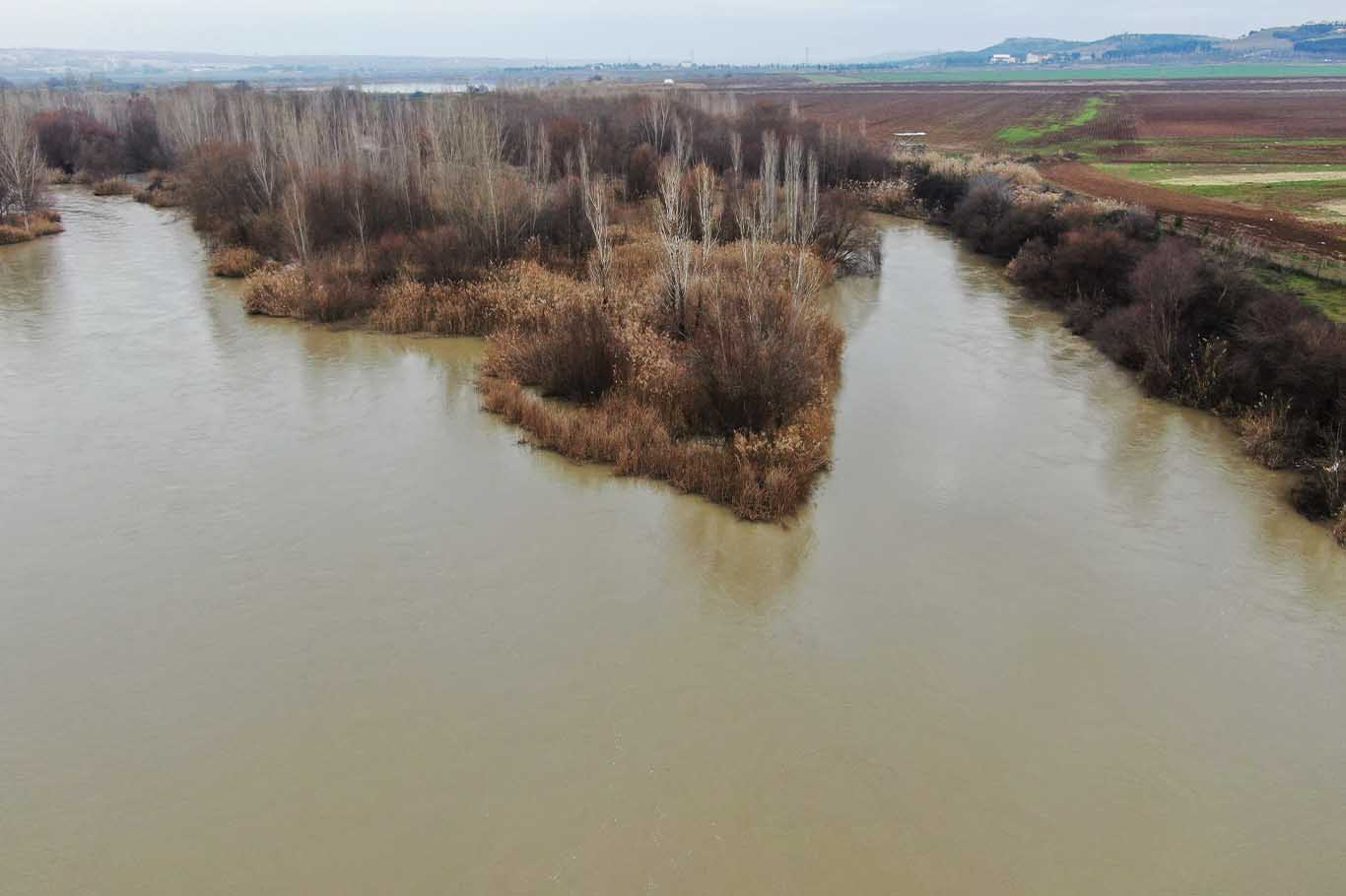 Diyarbakır’da Dicle Nehri'ni Kirleten Atıklar Canlıları Tehdit Ediyor 4