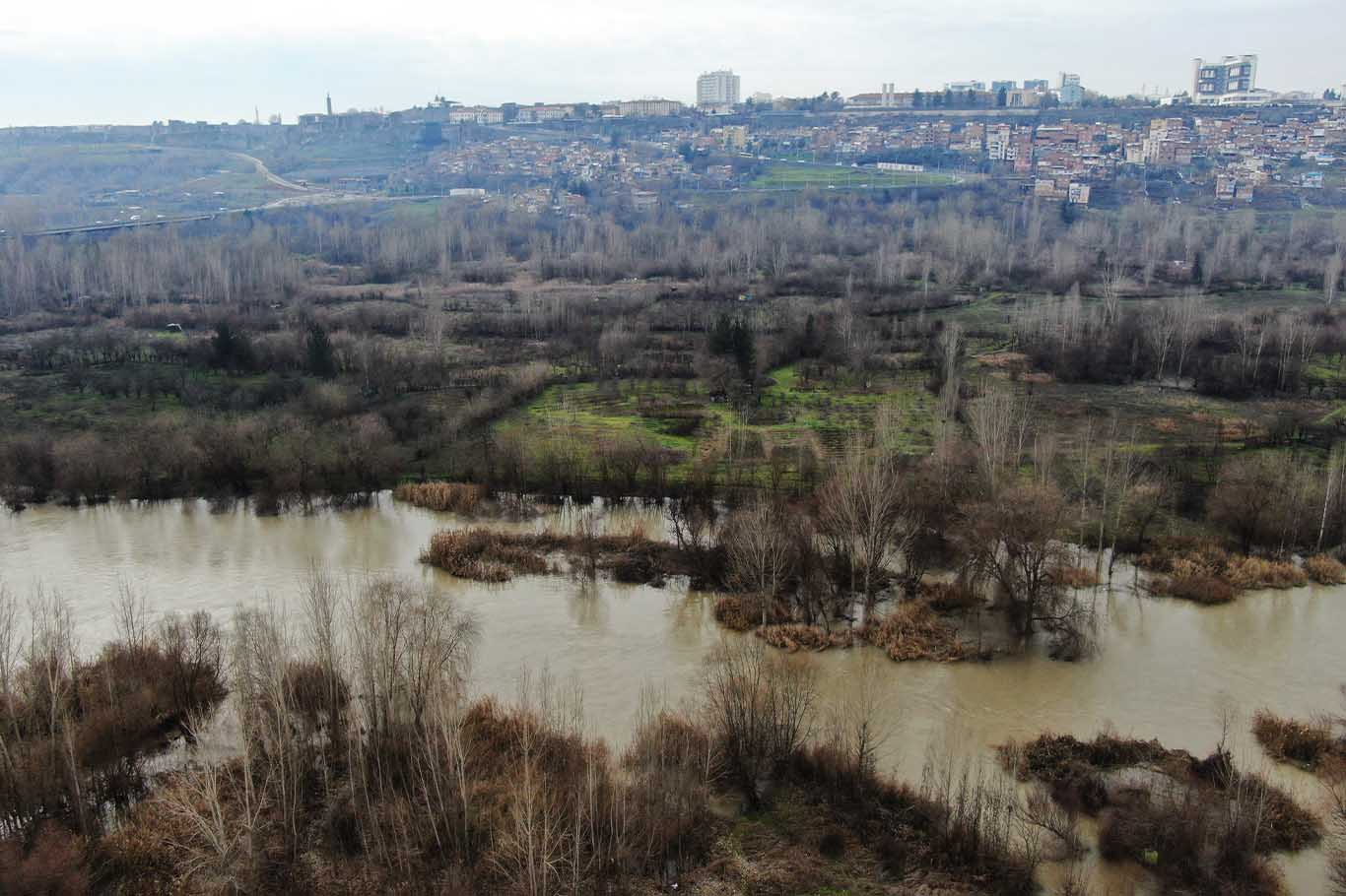 Diyarbakır’da Dicle Nehri'ni Kirleten Atıklar Canlıları Tehdit Ediyor 5