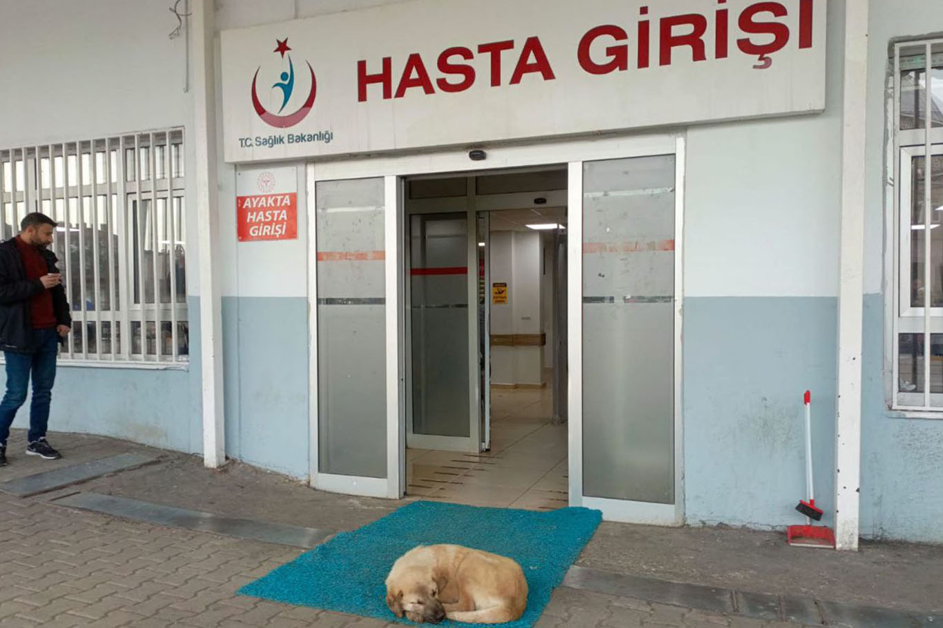 Diyarbakır'da Otoparka Ait Köpeğin Saldırısına Uğradı 2