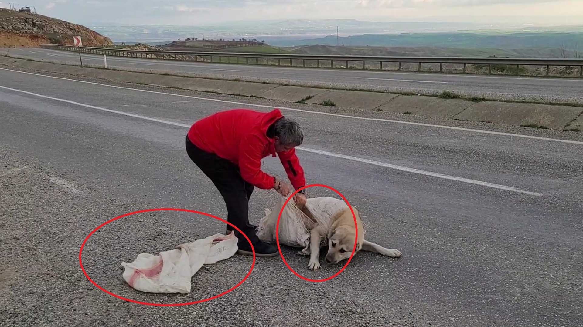 Yer Diyarbakır Torbaya Koyup Ölüme Terk Ettiler 2