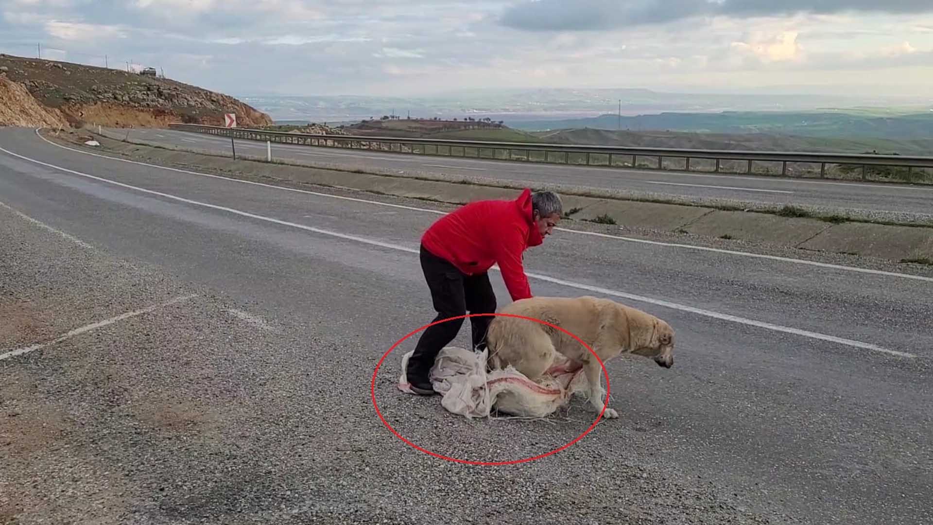 Yer Diyarbakır Torbaya Koyup Ölüme Terk Ettiler 3