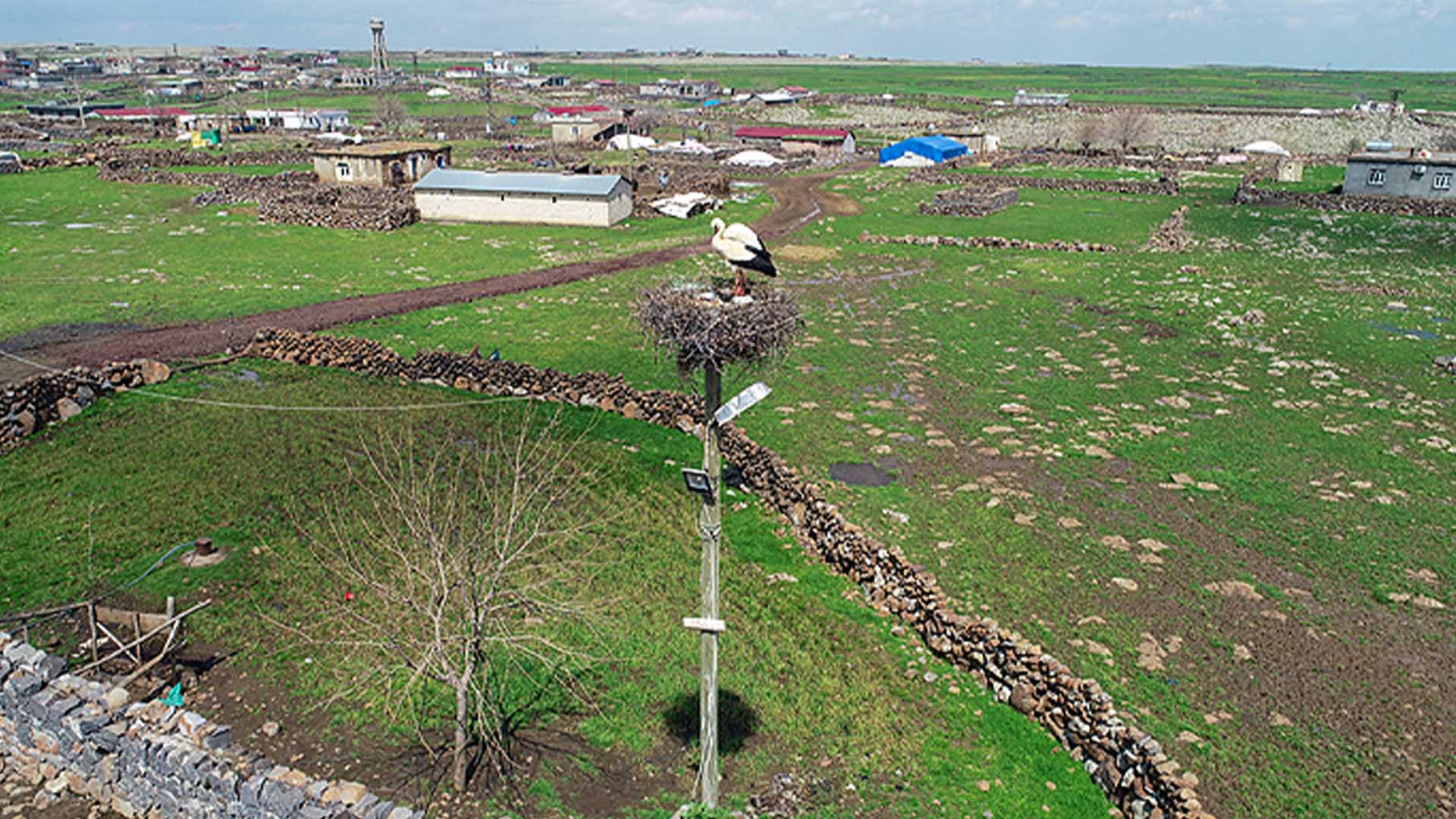 Bismil’in Leylekleri Artık Göçmüyor 3