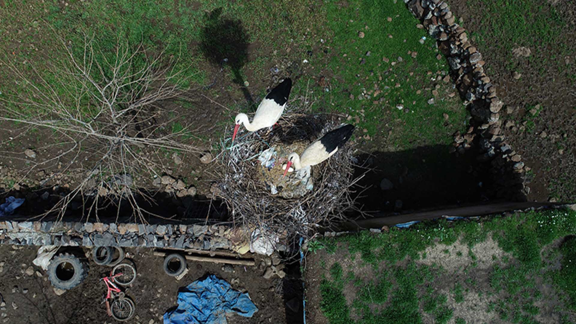 Bismil’in Leylekleri Artık Göçmüyor 4