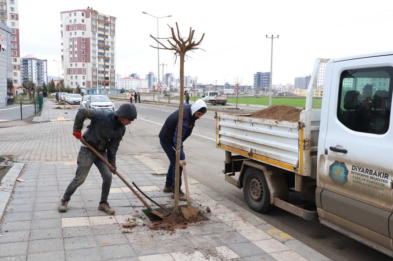 Diyarbakır’da Bu Kez De O Cadde Ağaçlandırıldı 3
