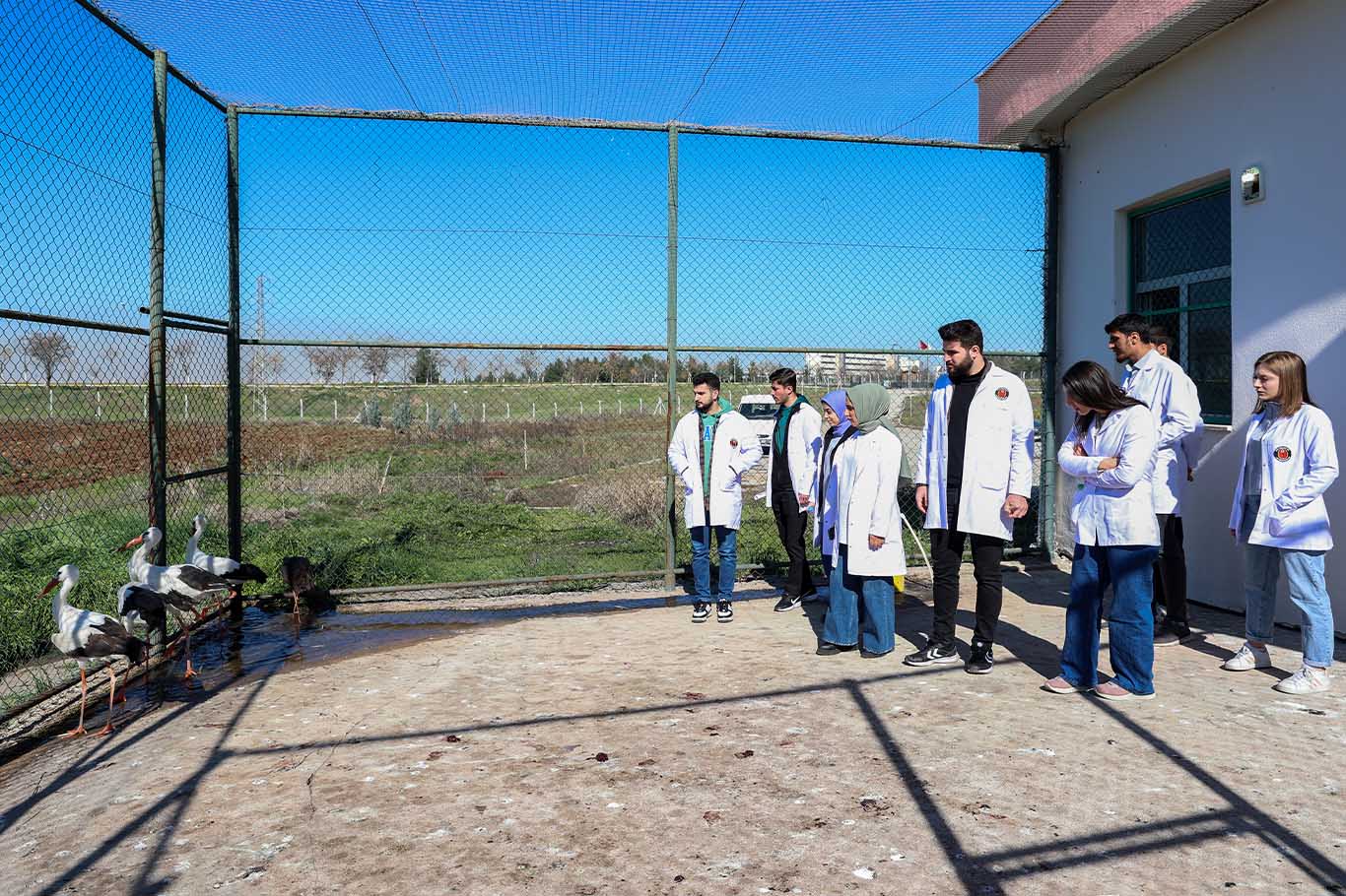 Diyarbakır’da Veteriner Hekim Adayları Yaban Hayatı Ile Buluşuyor 7
