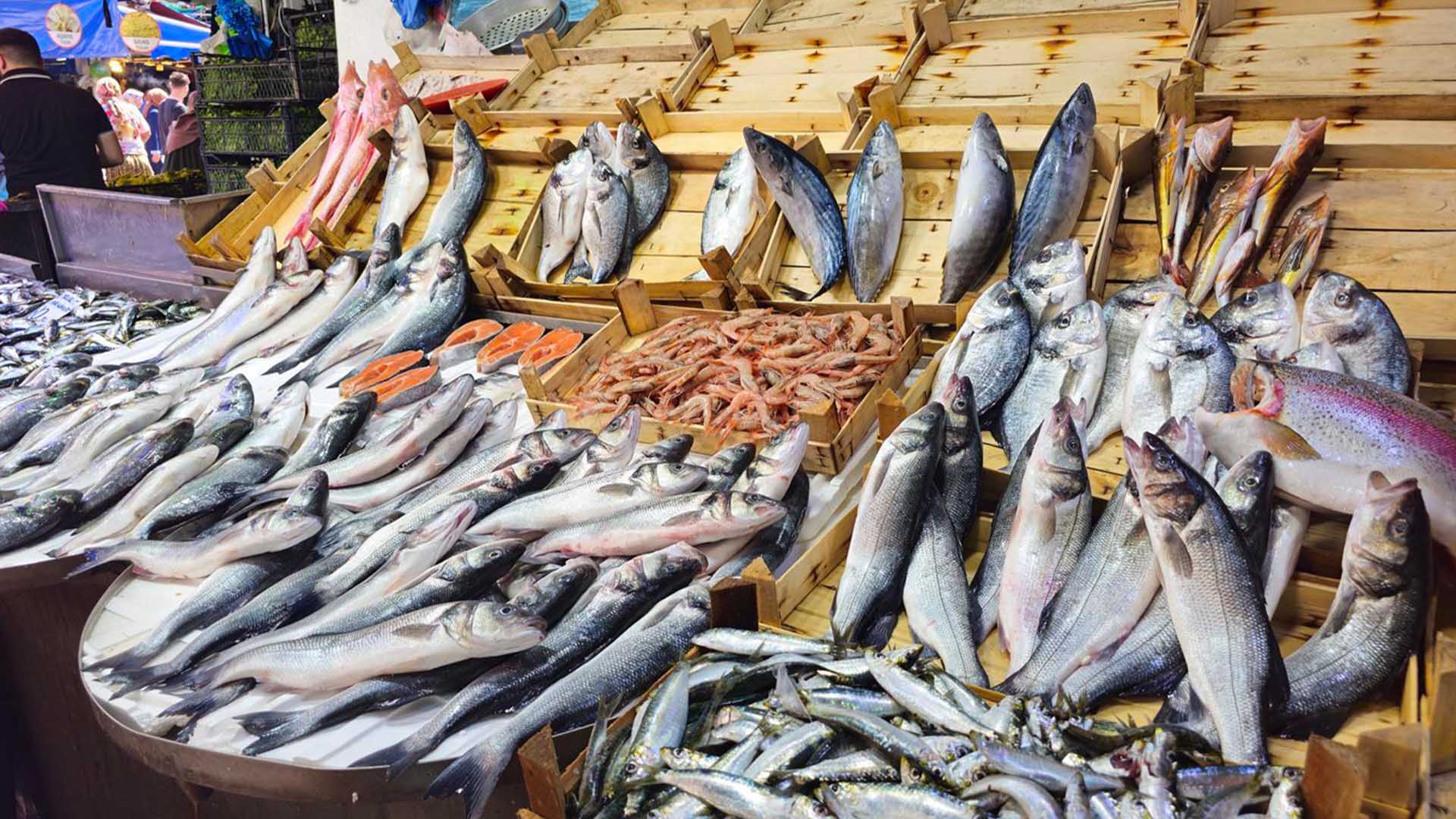 Diyarbakır’da Av Yasağı Balık Fiyatlarını Artırdı 1