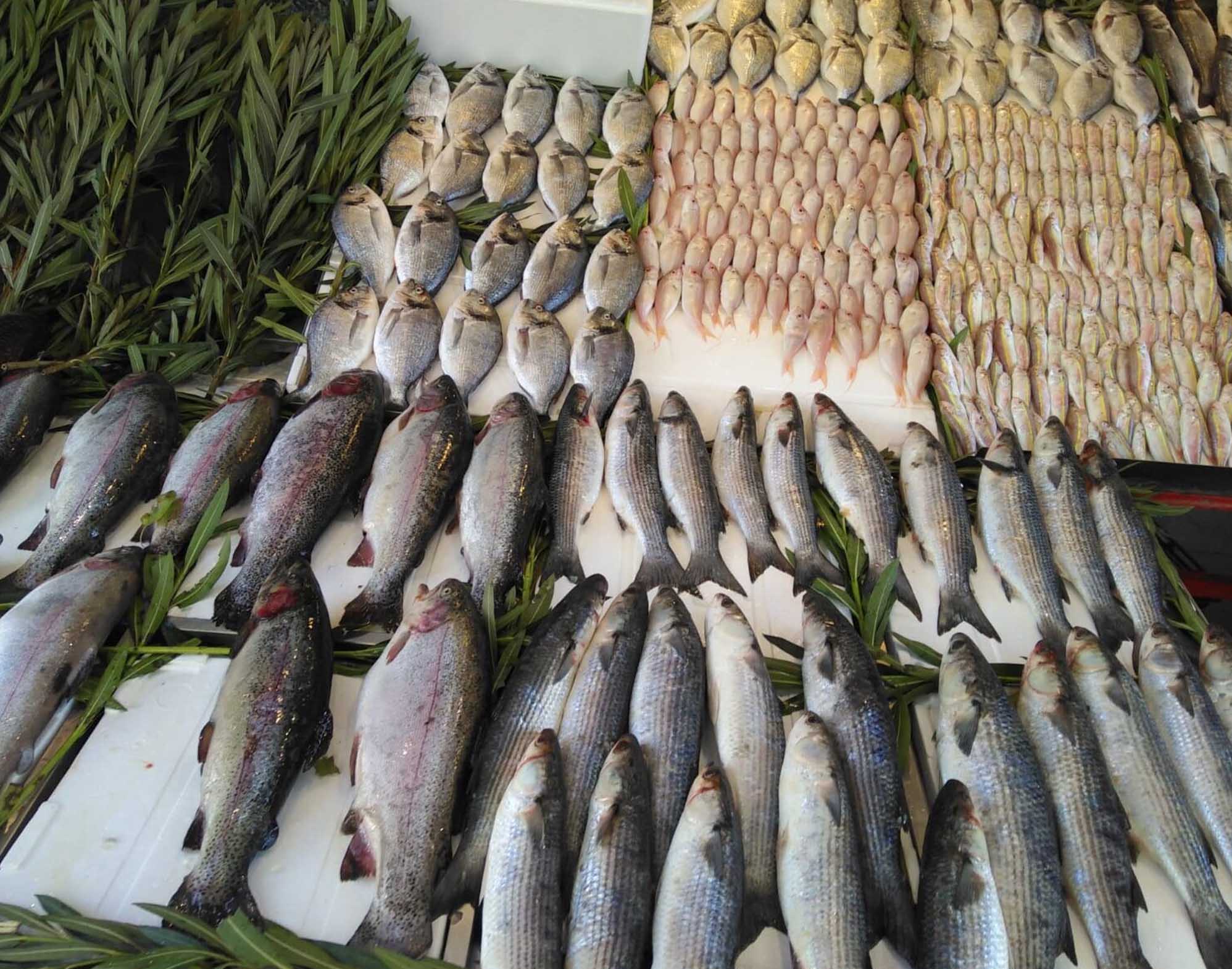 Diyarbakır’da Av Yasağı Balık Fiyatlarını Artırdı 2