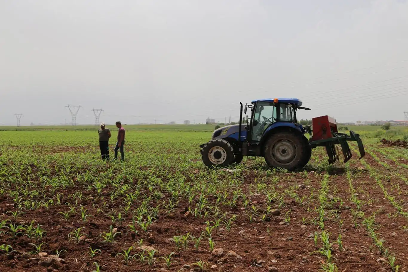 Tarımsal Destekleme Ödemeleri Çiftçilerin Hesabına Aktarılıyor