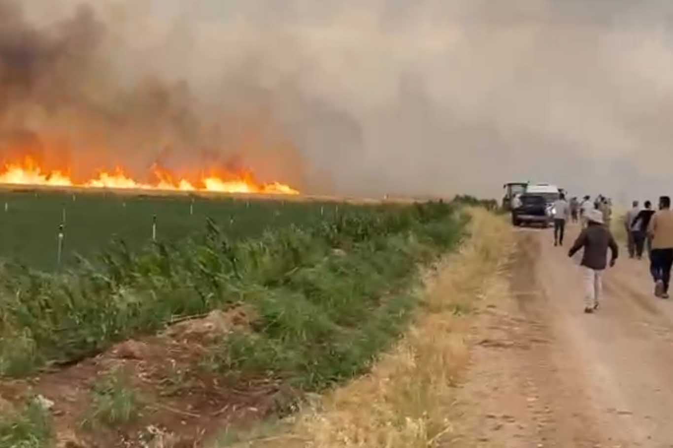 Çınar’da 150 Dönüm Ekili Alan Yandı 2