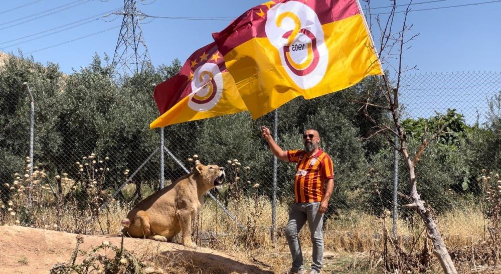 Diyarbakırlı Taraftar, Galatasaray’ın Şampiyonluğunu Aslanları Ile Kutladı 1