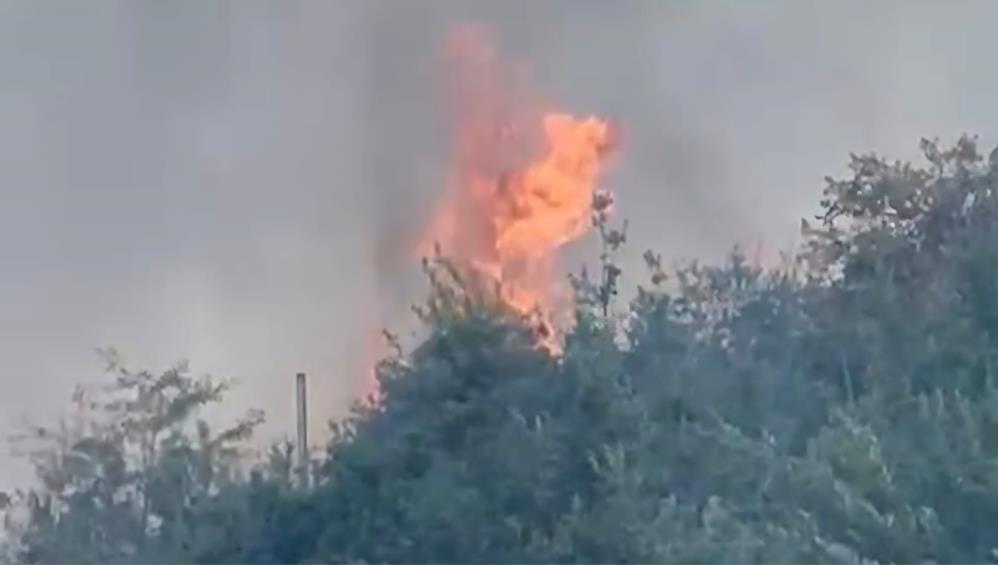 Gaziantep'te Orman Yangını 1