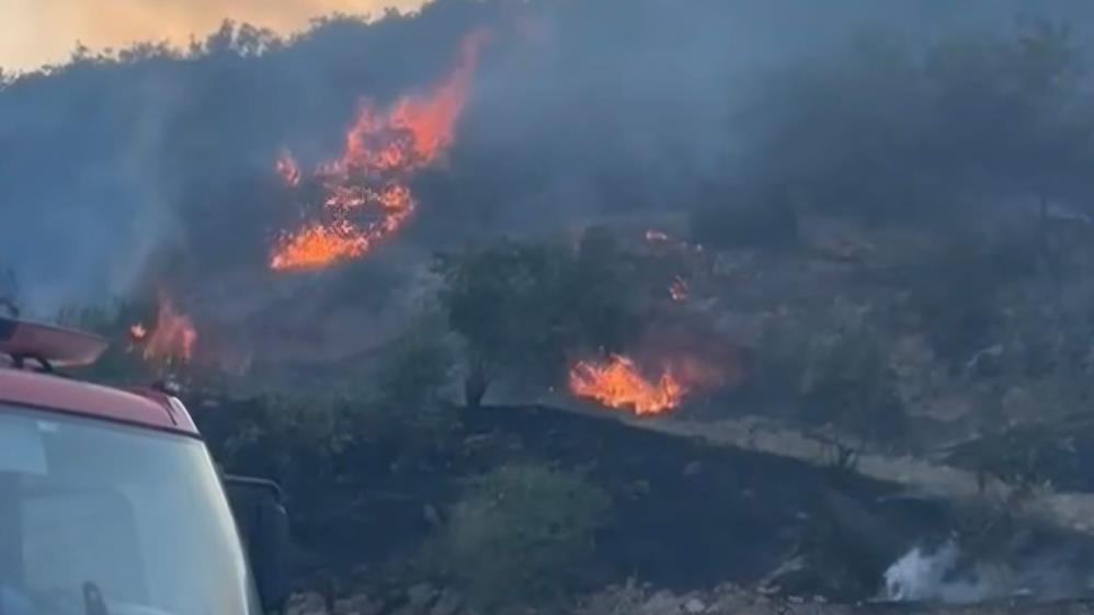 Gaziantep'te Orman Yangını 3