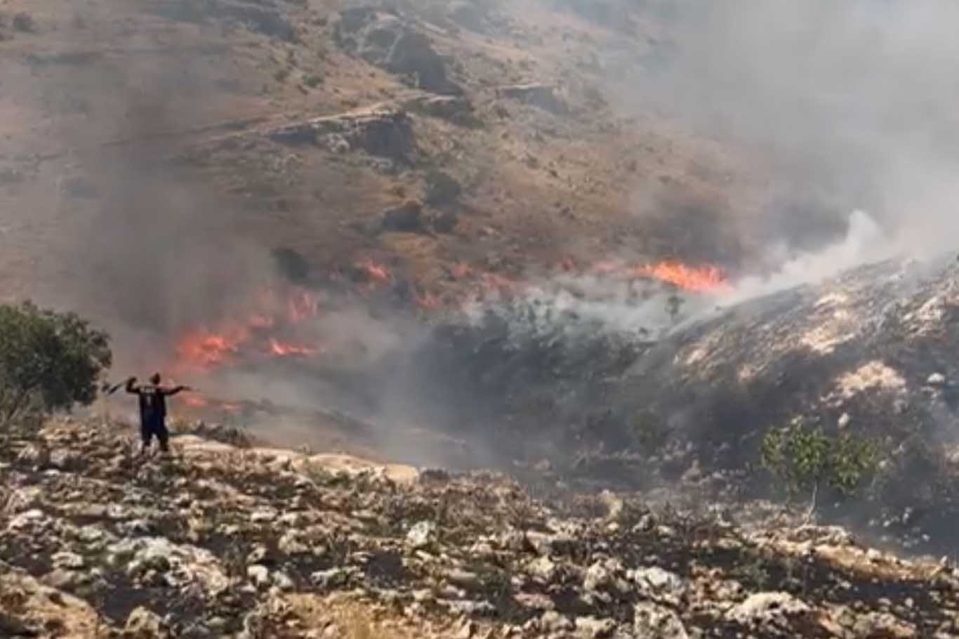 Mardin’de Ormanlık Alanda Çıkan Yangın Devam Ediyor