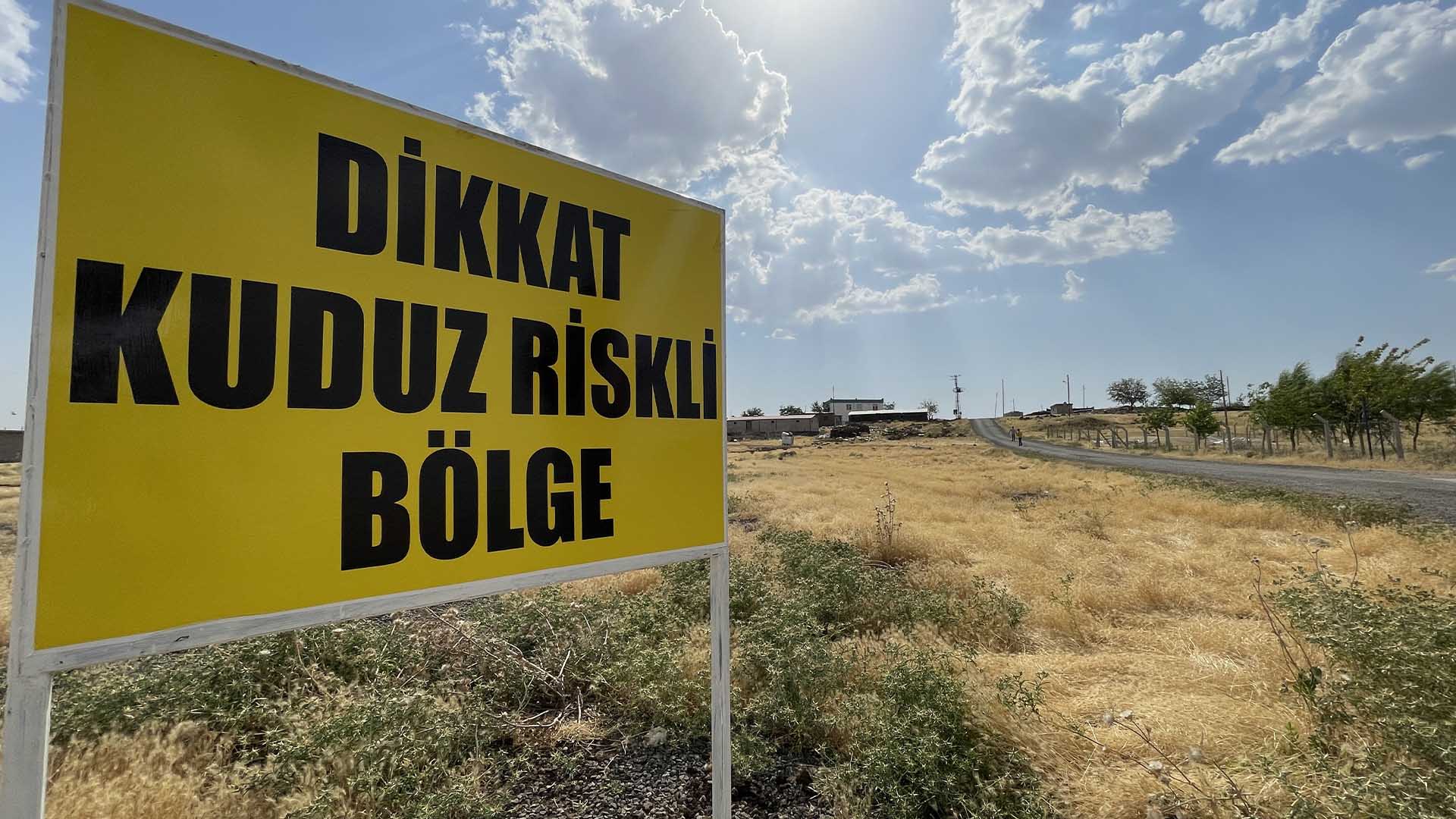 Şanlıurfa'da 1 Mahalle Kuduz Nedeniyle Karantinaya Alındı 3