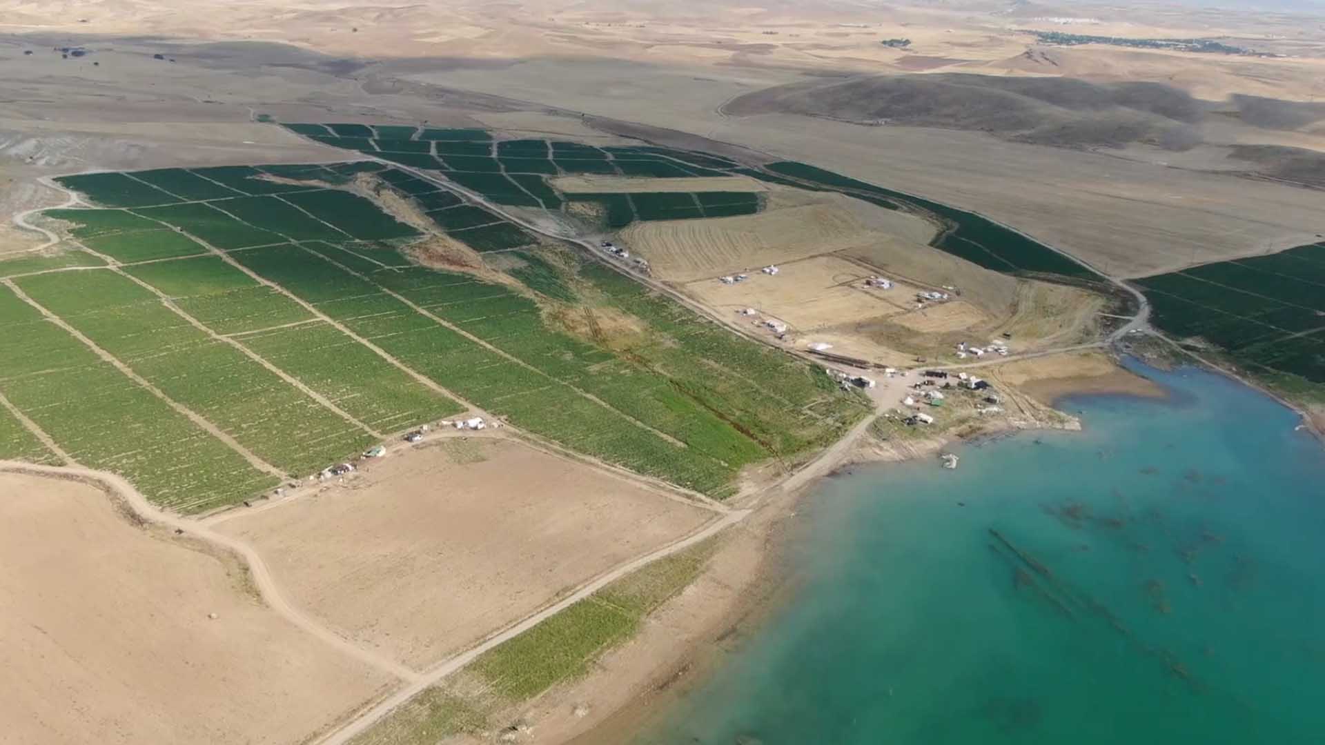 3 Bin Dönüme Domates Ekti, Kilosunu 8 Liraya Satıyor 2