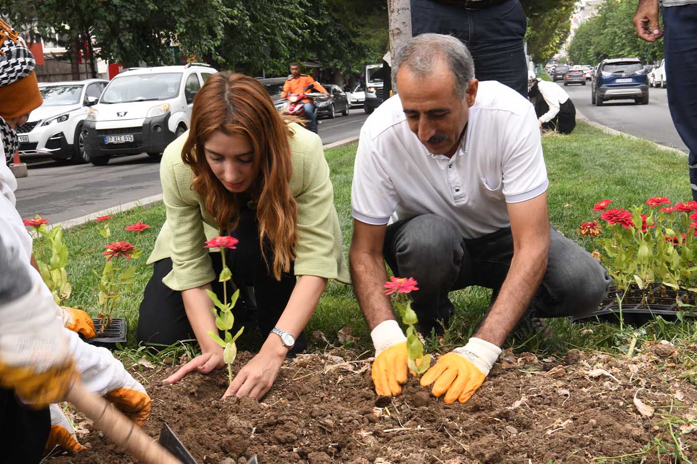 Bismil’de 6 Bin Mevsimlik Çiçek Ekildi 2